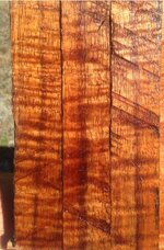 curly koa1.JPG