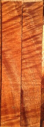 curly koa 2.JPG