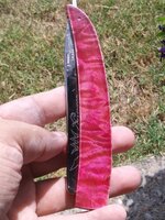 20190811_132256.jpg