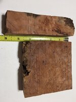 Taz Myrtle Burl 2.jpg
