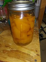 20190824_130136.jpg
