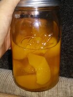 20190824_170301.jpg