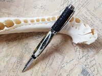 Alligator Pen2.jpg
