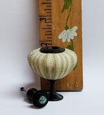 20190830_174739.jpg