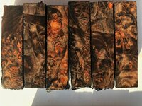 IMG_0163.jpeg