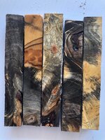 IMG_0195.jpeg