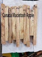 apple-1.jpg