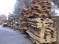 copia_di_26022009408.jpg