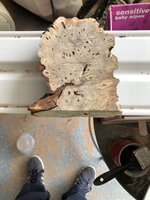 IMG_0543.jpeg