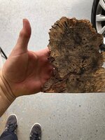 IMG_0555.jpeg