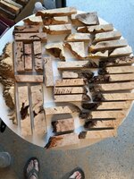 IMG_0617.jpeg