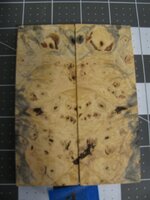 Buckeye Burl 1.jpg