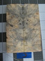 Buckeye Burl 3.jpg
