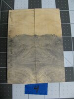 Buckeye Burl 4.jpg