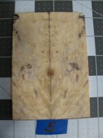 Buckeye Burl 5.jpg