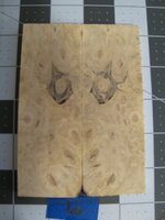 Buckeye Burl 6.jpg