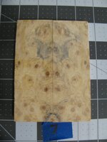 Buckeye Burl 7.jpg
