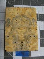 Buckeye Burl 9.jpg