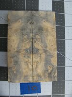 Buckeye Burl 10.jpg