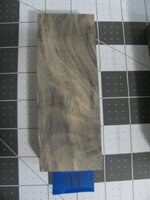 Buckeye Burl 11.jpg