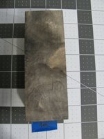 Buckeye Burl 12.jpg