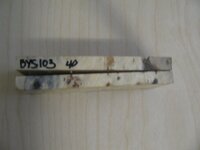 Buckeye Burl side view.jpg