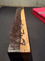 20191007_170756.jpg