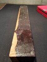 20191007_170749.jpg