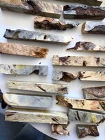 IMG_1017.jpeg