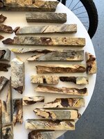 IMG_1024.jpeg