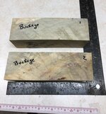IMG_0958.jpg