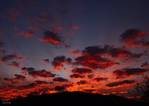 F1F525DF-A5FC-4EC5-9080-6AF1164C4DC2.jpeg