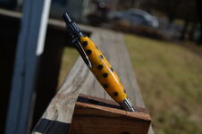 DFE_3407.JPG