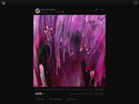 11513E09-E08E-4C09-9FD7-50B8753E862B.png