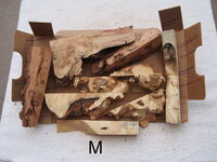 PC192364.JPG