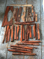 Coco casting lot 001.JPG