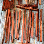 Coco casting lot 003.JPG