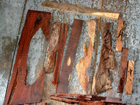 Coco casting lot 004.JPG