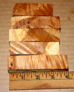 Hackberry burl 001.JPG