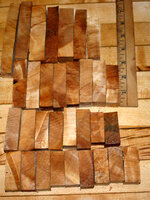 Unknown burl 001.JPG