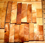Unknown burl 002.JPG