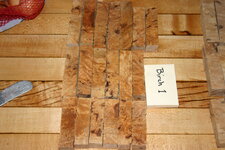 Birch burl 001.JPG