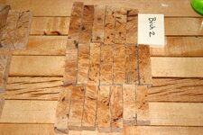 Birch burl 002.JPG