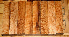 Birdseye-bocote 002.JPG