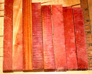 Pink Ivory 002.JPG