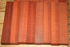 Padauk 003.JPG