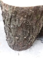 Wood.2.jpg