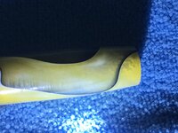 IMG_3478.JPG
