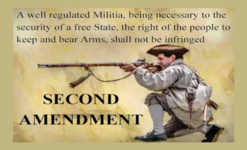 2nd Amendment Text - Rifleman-Horizontal-Bolt.png