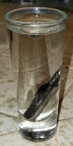 nib06.jpg